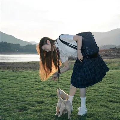 芫荽与欧芹